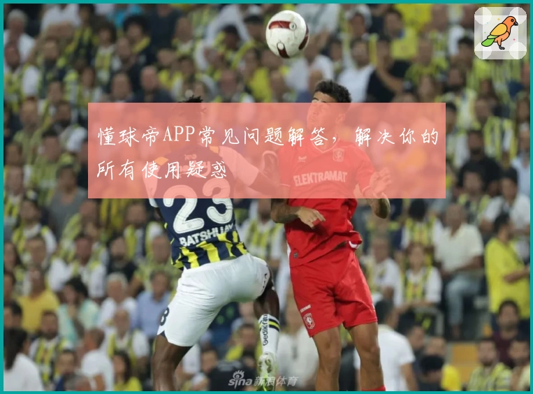 懂球帝APP常见问题解答,解决你的所有使用疑惑