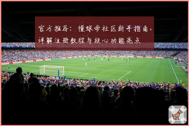 官方推荐：懂球帝社区新手指南，详解注册教程与核心功能亮点